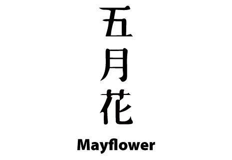 Mayflower - Berlin