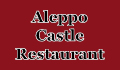 Aleppo Castle - Herne