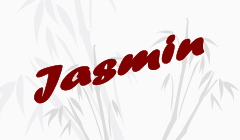 Asia Restaurant Jasmin - Schweinfurt