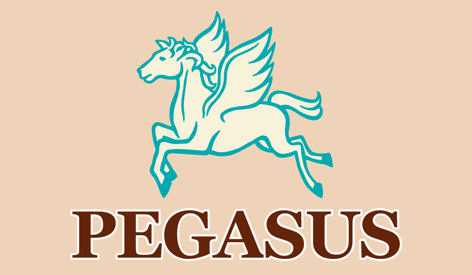 Pegasus - Schwerin